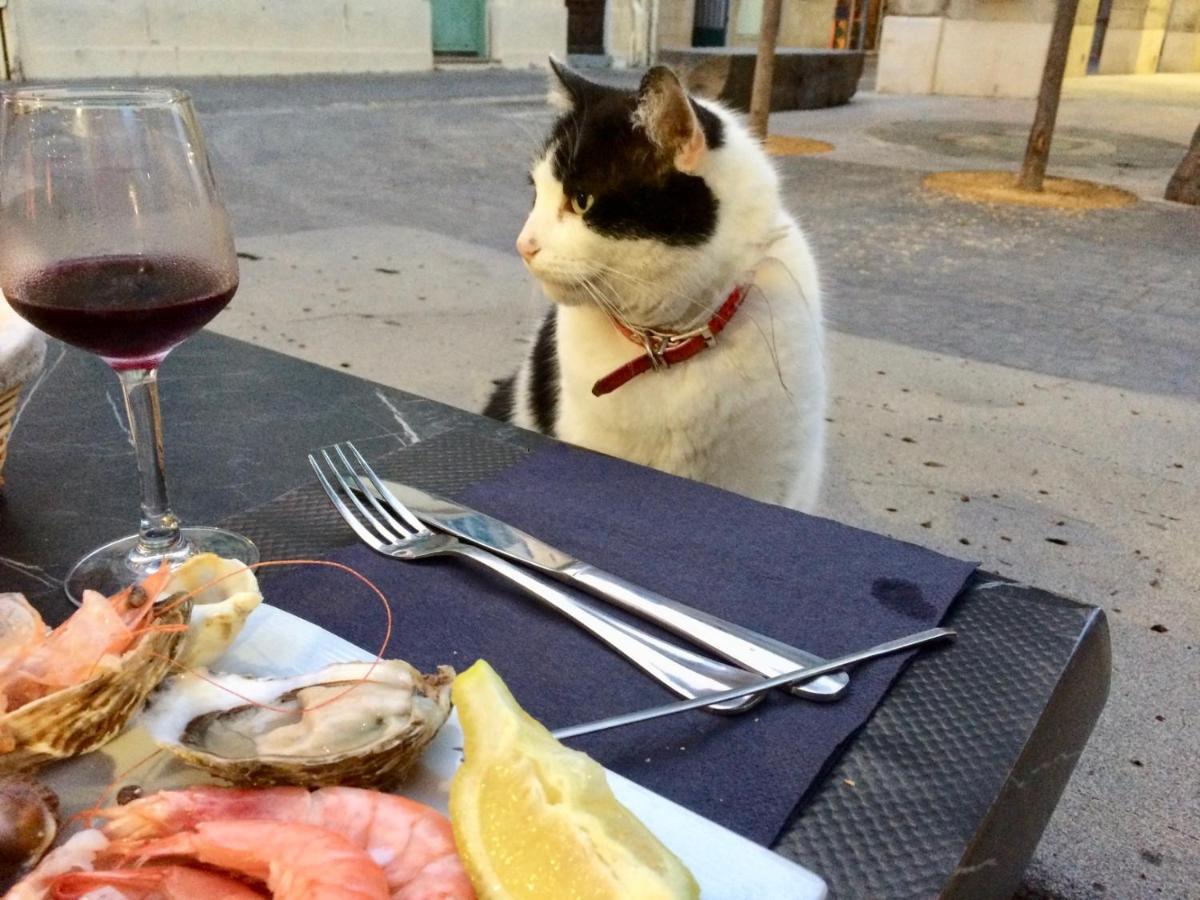 Beach, Wine, Dining, Sports, Summer, Winter Apartment Serignan Luaran gambar